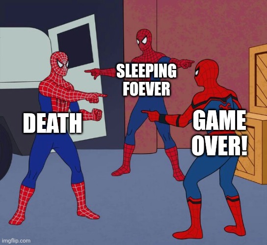 Ok | SLEEPING FOEVER; DEATH; GAME OVER! | image tagged in spider man triple | made w/ Imgflip meme maker
