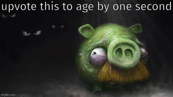 Realistic Pig In Dark | upvote this to age by one second | image tagged in realistic pig in dark | made w/ Imgflip meme maker