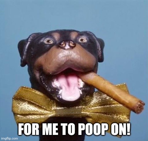 Triumph the Insult Comic Dog | FOR ME TO POOP ON! | image tagged in triumph the insult comic dog | made w/ Imgflip meme maker