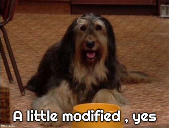 Buck Bundy | A little modified , yes | image tagged in buck bundy | made w/ Imgflip meme maker