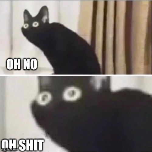 Scared cat | OH NO OH SHIT | image tagged in scared cat | made w/ Imgflip meme maker