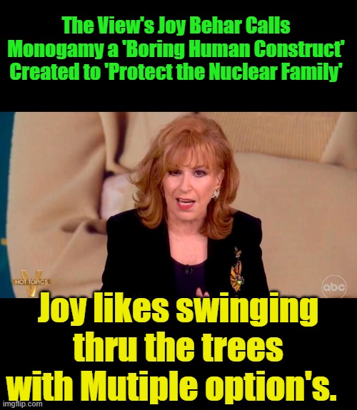 High Class | The View's Joy Behar Calls Monogamy a 'Boring Human Construct' Created to 'Protect the Nuclear Family'; Joy likes swinging thru the trees with Mutiple option's. | made w/ Imgflip meme maker