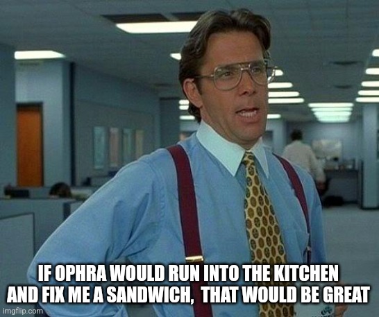 That Would Be Great Meme | IF OPHRA WOULD RUN INTO THE KITCHEN AND FIX ME A SANDWICH,  THAT WOULD BE GREAT | image tagged in memes,that would be great | made w/ Imgflip meme maker
