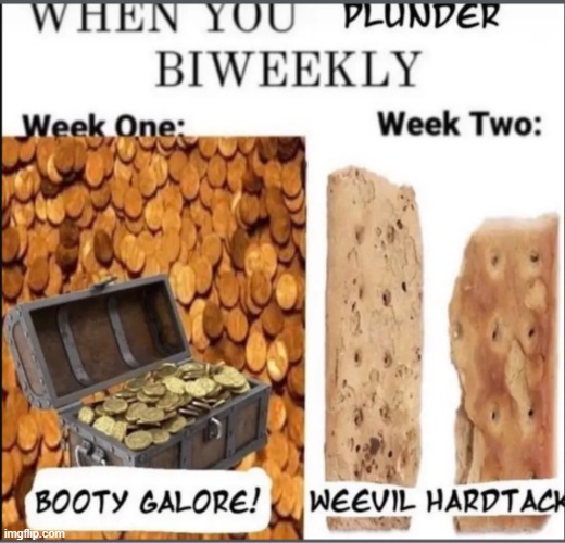 yargh mateys | image tagged in pirates | made w/ Imgflip meme maker