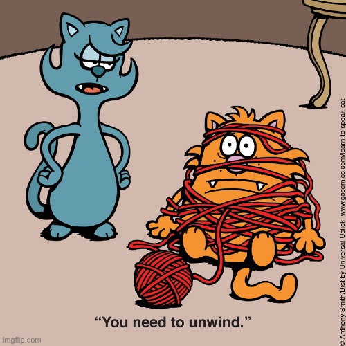 Learn to Speak Cat | image tagged in cats,comics,learn to speak cat,ball of yarn,unwind | made w/ Imgflip meme maker