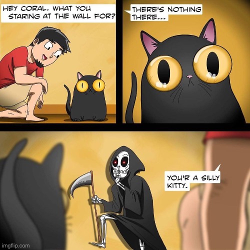 WeFlaps | image tagged in cats,comics,weflaps,coral,long stare,grim reaper | made w/ Imgflip meme maker