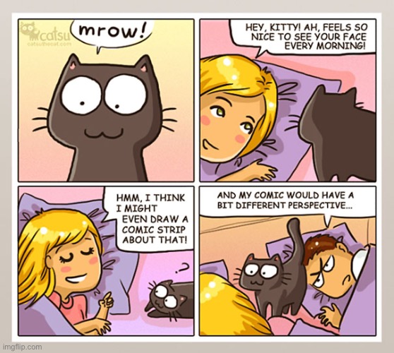 Catsu | image tagged in cats,comics,catsu,dita | made w/ Imgflip meme maker