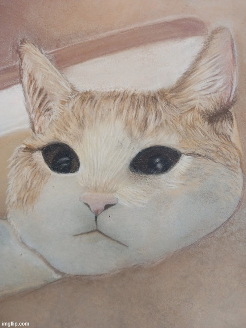 a closer look at the fur detail | made w/ Imgflip meme maker