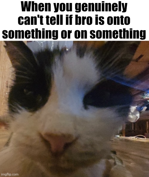 When you genuinely can't tell if bro is onto something or on something | made w/ Imgflip meme maker