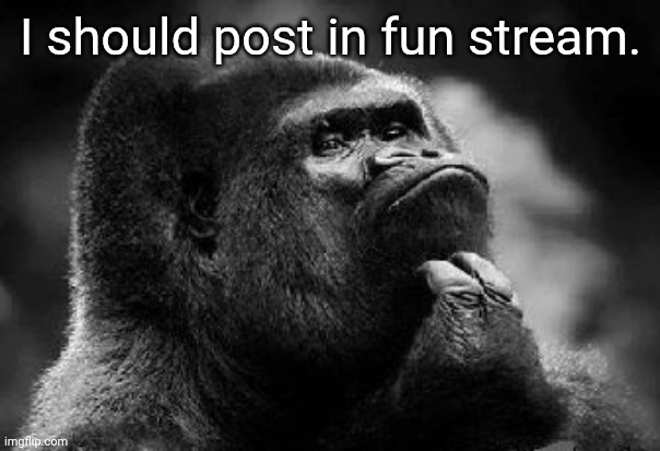 I should post in fun stream. | I should post in fun stream. | image tagged in thinking monkey | made w/ Imgflip meme maker
