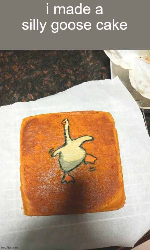 i made a silly goose cake | made w/ Imgflip meme maker