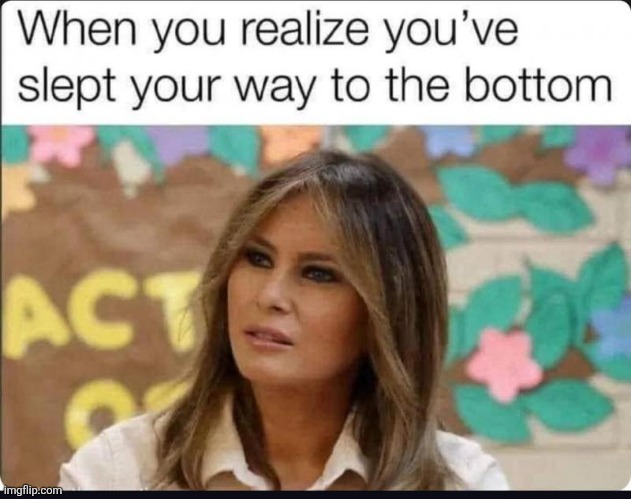melanoma | image tagged in melania trump,hooker | made w/ Imgflip meme maker
