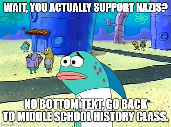 Spongebob I thought it was a joke | WAIT, YOU ACTUALLY SUPPORT NAZIS? NO BOTTOM TEXT, GO BACK TO MIDDLE SCHOOL HISTORY CLASS. | image tagged in spongebob i thought it was a joke | made w/ Imgflip meme maker