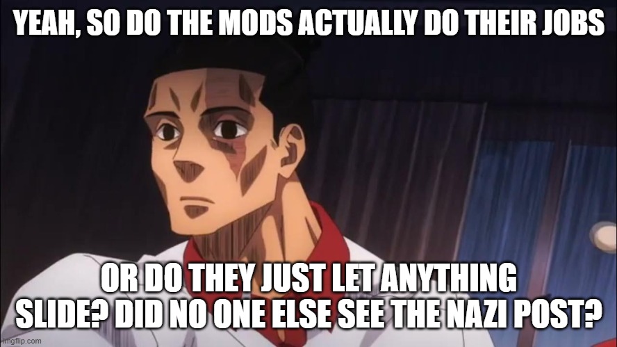 Are we deadass? | YEAH, SO DO THE MODS ACTUALLY DO THEIR JOBS; OR DO THEY JUST LET ANYTHING SLIDE? DID NO ONE ELSE SEE THE NAZI POST? | image tagged in do your job | made w/ Imgflip meme maker