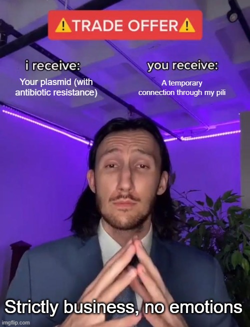 Trade Offer | Your plasmid (with antibiotic resistance); A temporary connection through my pili; Strictly business, no emotions | image tagged in trade offer | made w/ Imgflip meme maker