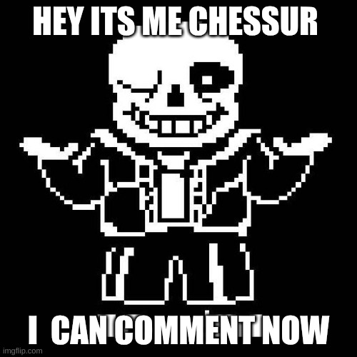thanks spooky | HEY ITS ME CHESSUR; I  CAN COMMENT NOW | image tagged in sans undertale | made w/ Imgflip meme maker