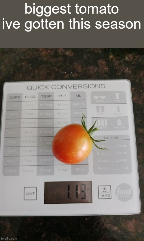 biggest tomato ive gotten this season | made w/ Imgflip meme maker