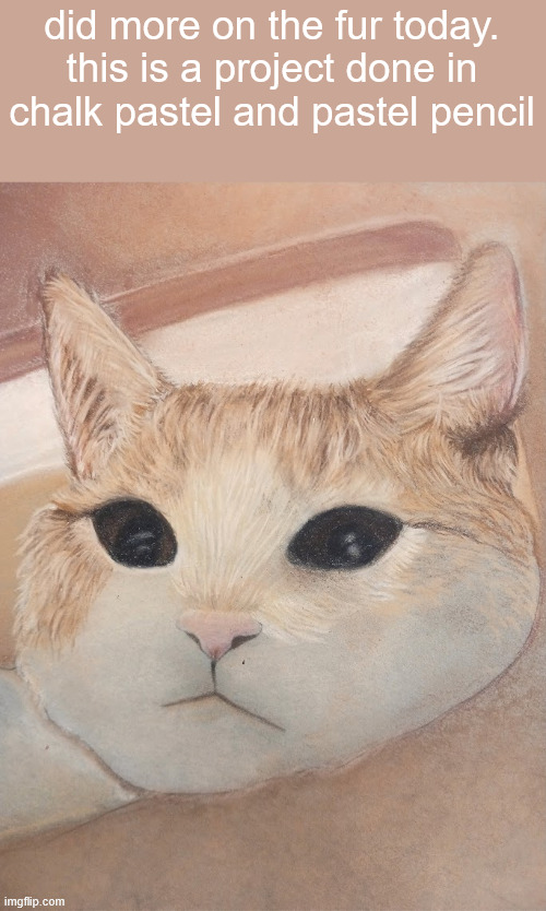 did more on the fur today.
this is a project done in chalk pastel and pastel pencil | made w/ Imgflip meme maker