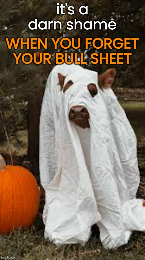 it's a darn shame WHEN YOU FORGET YOUR BULL SHEET | made w/ Imgflip meme maker