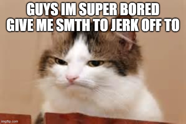 Disappointed Cat | GUYS IM SUPER BORED GIVE ME SMTH TO JERK OFF TO | image tagged in disappointed cat | made w/ Imgflip meme maker