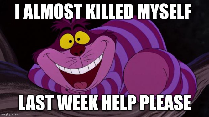 I'm also insane | I ALMOST KILLED MYSELF; LAST WEEK HELP PLEASE | image tagged in cheshire cat | made w/ Imgflip meme maker