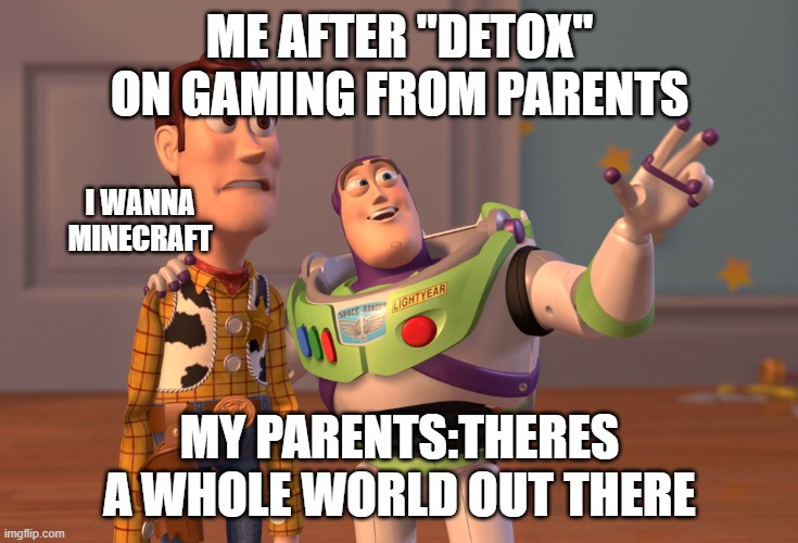 When your parents "Detox" you from gaming | ME AFTER "DETOX" ON GAMING FROM PARENTS; I WANNA MINECRAFT; MY PARENTS:THERES A WHOLE WORLD OUT THERE | image tagged in memes,x x everywhere | made w/ Imgflip meme maker