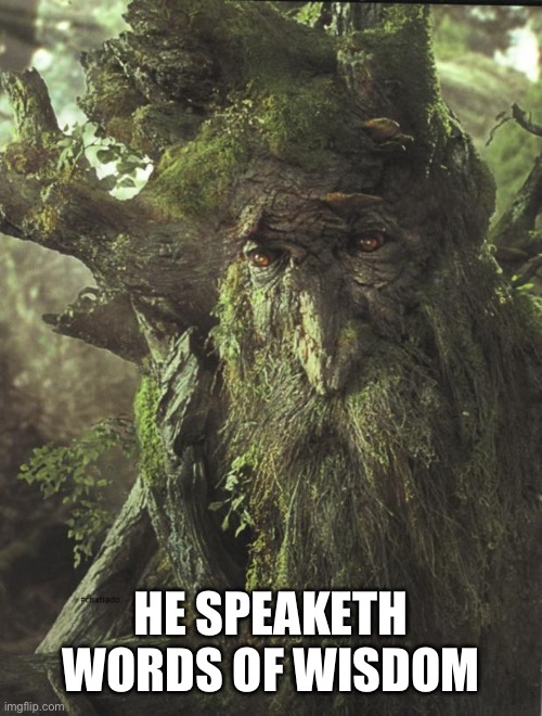 Tree Beard | HE SPEAKETH WORDS OF WISDOM | image tagged in tree beard | made w/ Imgflip meme maker