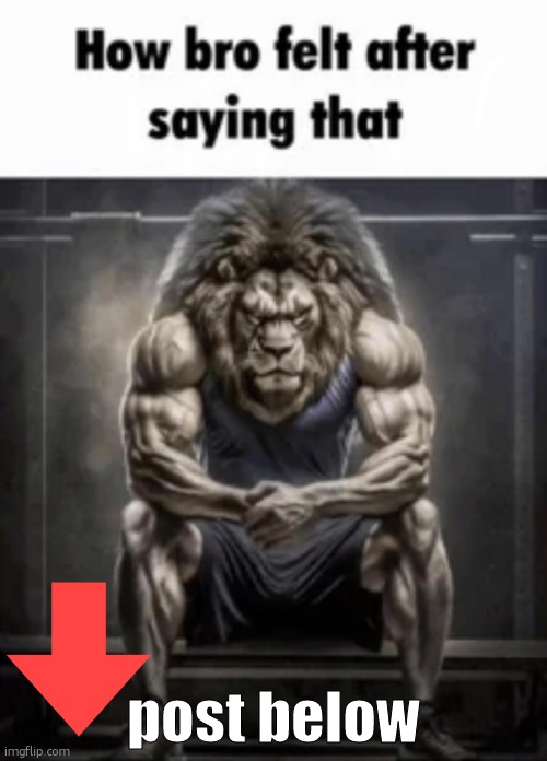 how bro felt after saying that | post below | image tagged in how bro felt after saying that | made w/ Imgflip meme maker