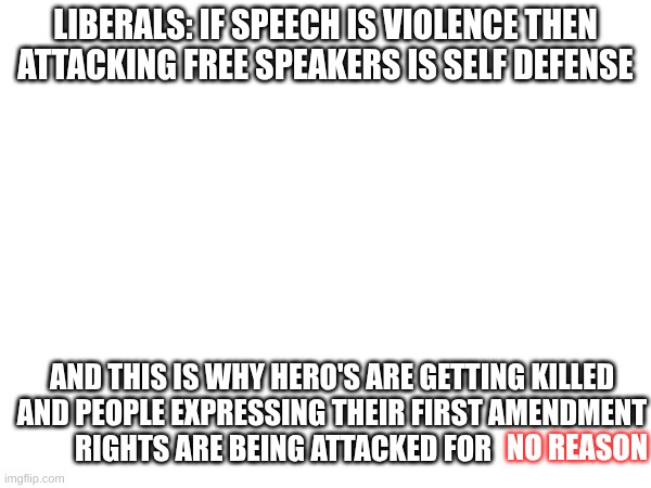 the truth | LIBERALS: IF SPEECH IS VIOLENCE THEN ATTACKING FREE SPEAKERS IS SELF DEFENSE; AND THIS IS WHY HERO'S ARE GETTING KILLED AND PEOPLE EXPRESSING THEIR FIRST AMENDMENT RIGHTS ARE BEING ATTACKED FOR; NO REASON | image tagged in politics | made w/ Imgflip meme maker