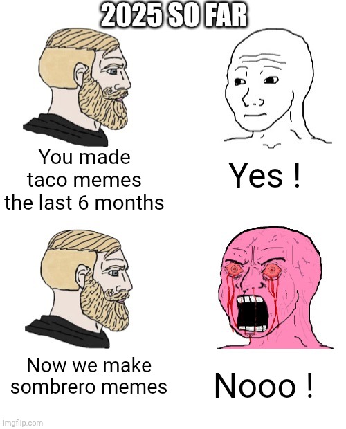 Dish out, but can't take it ? | 2025 SO FAR; You made taco memes the last 6 months; Yes ! Now we make sombrero memes; Nooo ! | image tagged in triggered wojak,leftists,liberals,democrats | made w/ Imgflip meme maker