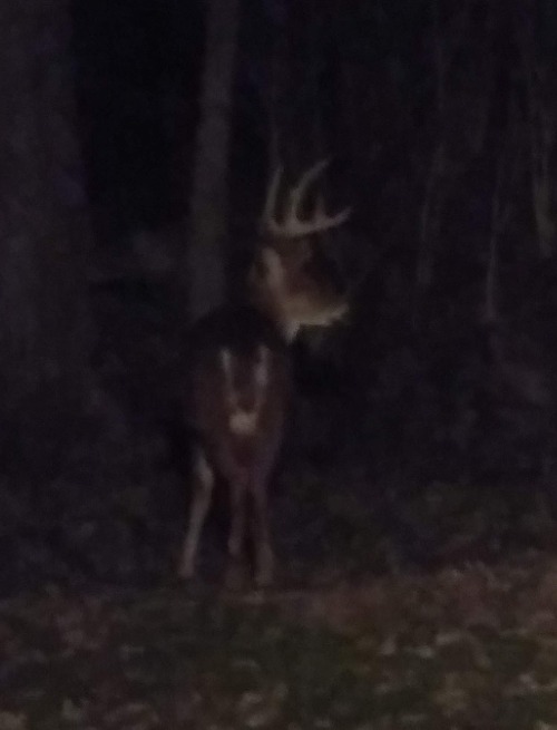 Righteous Rack | made w/ Imgflip meme maker