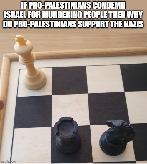 Checkmate Anti Zionists | IF PRO-PALESTINIANS CONDEMN ISRAEL FOR MURDERING PEOPLE THEN WHY DO PRO-PALESTINIANS SUPPORT THE NAZIS | image tagged in check mate,memes | made w/ Imgflip meme maker