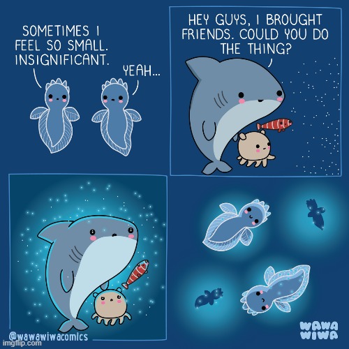 image tagged in shark,squid,fish,plankton,glowing,mesmerizing | made w/ Imgflip meme maker