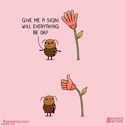 image tagged in ladybug,flower,sign,everything,okay,thumbs up | made w/ Imgflip meme maker
