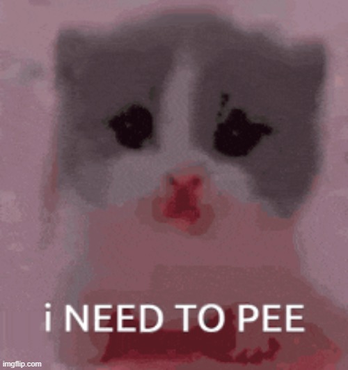 me core | made w/ Imgflip meme maker