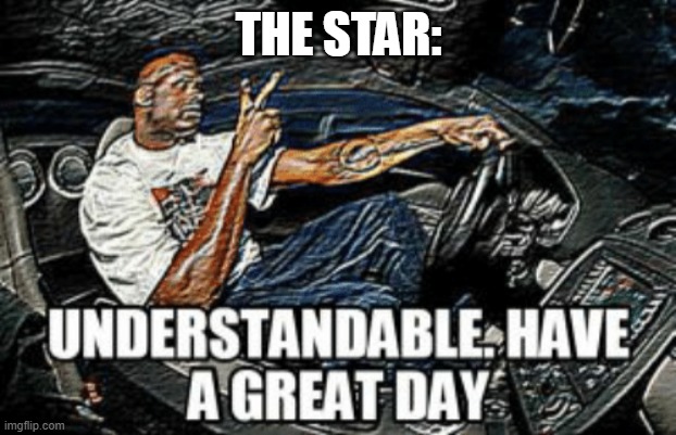 Understandable have a great day | THE STAR: | image tagged in understandable have a great day | made w/ Imgflip meme maker