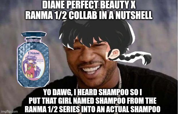 Shampoo from Ranma 1/2 gets Yo Dawg'd because the recent collab brought me here | DIANE PERFECT BEAUTY X RANMA 1/2 COLLAB IN A NUTSHELL; YO DAWG, I HEARD SHAMPOO SO I PUT THAT GIRL NAMED SHAMPOO FROM THE RANMA 1/2 SERIES INTO AN ACTUAL SHAMPOO | image tagged in memes,yo dawg heard you,ranma,namesake | made w/ Imgflip meme maker
