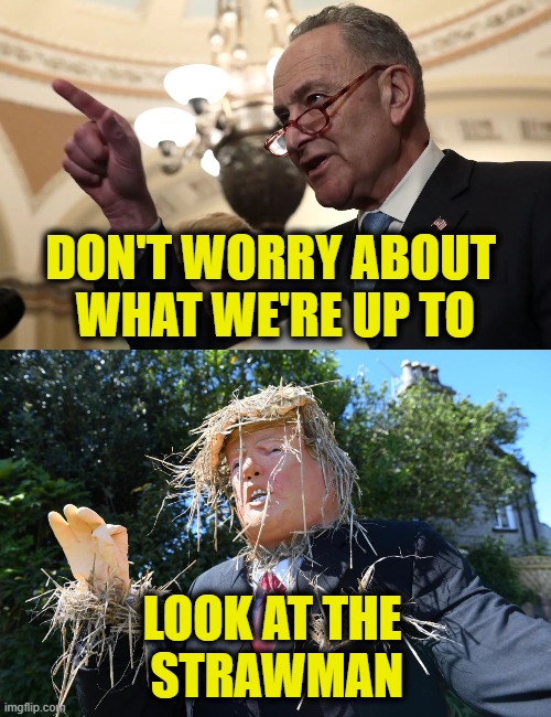 It's all President Trump's fault | DON'T WORRY ABOUT 
WHAT WE'RE UP TO; LOOK AT THE
 STRAWMAN | image tagged in democrats | made w/ Imgflip meme maker