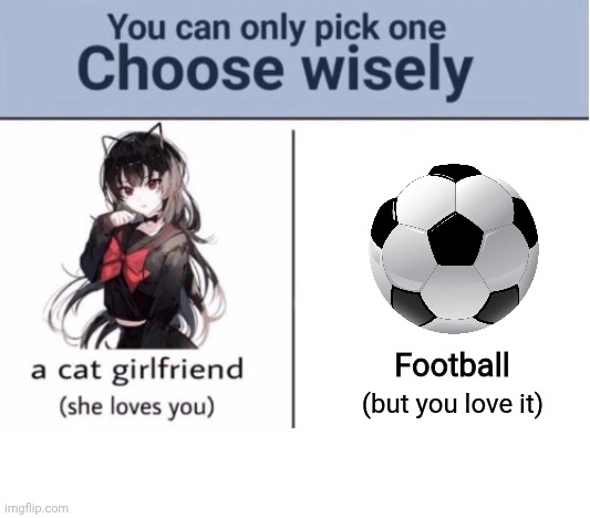 Choose wisely | Football; (but you love it) | image tagged in choose wisely | made w/ Imgflip meme maker