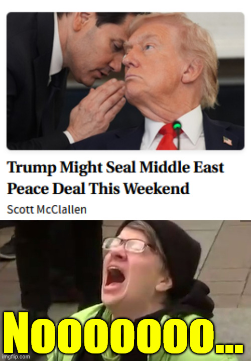 Nooooooo... | image tagged in triggered leftist | made w/ Imgflip meme maker