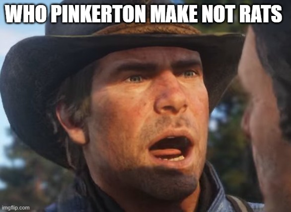 Red Dead Redemption 2 meme | WHO PINKERTON MAKE NOT RATS | image tagged in red dead redemption 2 meme | made w/ Imgflip meme maker