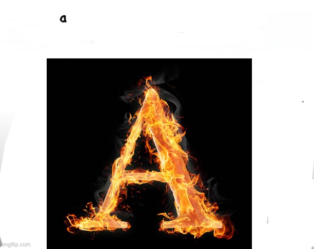 Waiter please get me something that i have never had in my life | image tagged in waiter please get me something that i have never had in my life | made w/ Imgflip meme maker