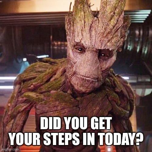 Move | DID YOU GET YOUR STEPS IN TODAY? | image tagged in groot guardians of the galaxy | made w/ Imgflip meme maker