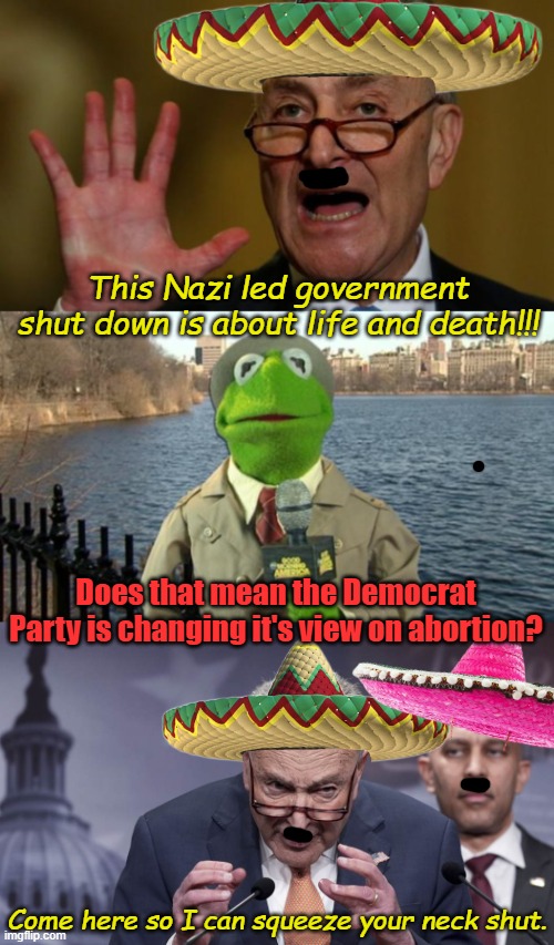 I mean if spending $1.5 trillion we don't have is the difference between life and death...golly, what do we do? | This Nazi led government shut down is about life and death!!! Does that mean the Democrat Party is changing it's view on abortion? Come here so I can squeeze your neck shut. | image tagged in chuck schumer,kermit news report,schumer | made w/ Imgflip meme maker