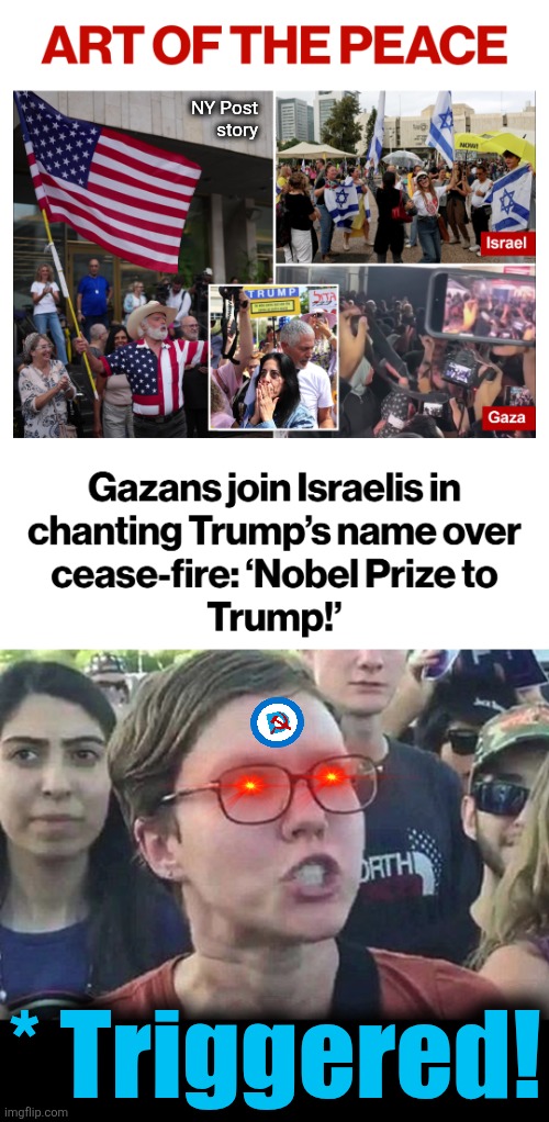 Let the TDS flow through you! | NY Post
story; * Triggered! | image tagged in triggered liberal,memes,democrats,trump derangement syndrome,peace,gaza | made w/ Imgflip meme maker