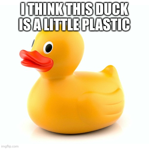 Rubber duck | I THINK THIS DUCK IS A LITTLE PLASTIC | image tagged in 2,duck | made w/ Imgflip meme maker