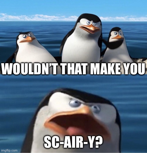 Wouldn't that make you | WOULDN’T THAT MAKE YOU SC-AIR-Y? | image tagged in wouldn't that make you | made w/ Imgflip meme maker