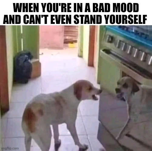 When You're In A Bad Mood And Can't Even Stand Yourself | WHEN YOU'RE IN A BAD MOOD AND CAN'T EVEN STAND YOURSELF | image tagged in chris joines | made w/ Imgflip meme maker