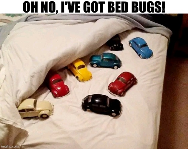 Oh No, I've Got Bed Bugs! | OH NO, I'VE GOT BED BUGS! | image tagged in chris joines | made w/ Imgflip meme maker
