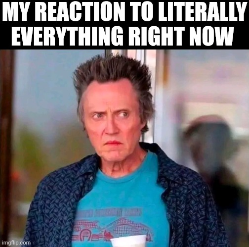 My Reaction To Literally Everything Right Now | MY REACTION TO LITERALLY EVERYTHING RIGHT NOW | image tagged in chris joines | made w/ Imgflip meme maker
